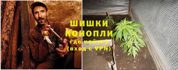 ешки Дмитриев