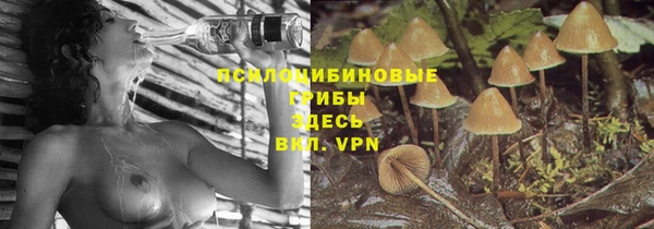 ешки Дмитриев