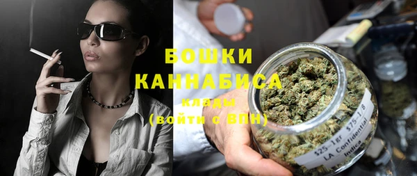 ешки Дмитриев