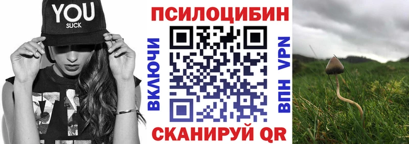 Псилоцибиновые грибы Magic Shrooms  Нурлат 