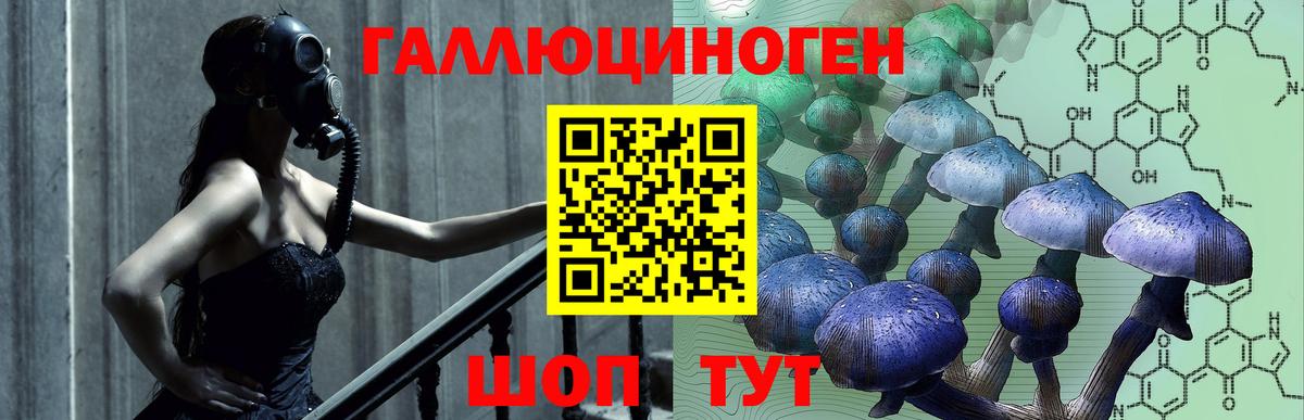 Галлюциногенные грибы прущие грибы  Вход с VPN  где купить наркоту  Нурлат  Псилоцибиновые грибы Cubensis 
