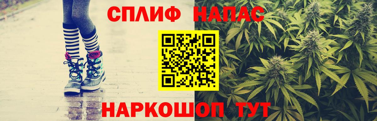 Каннабис планчик Нурлат